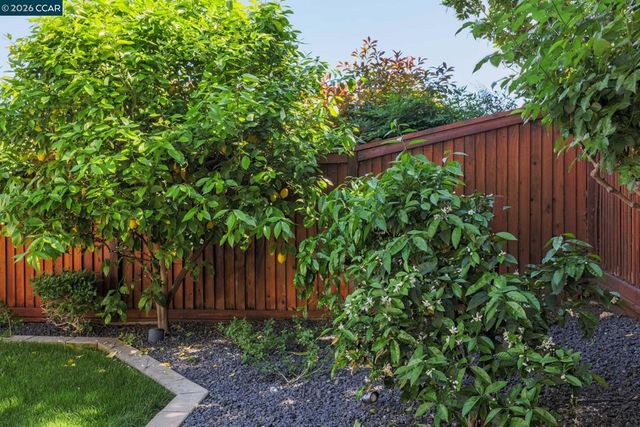 1664 Pinot Pl, Brentwood, CA 94513