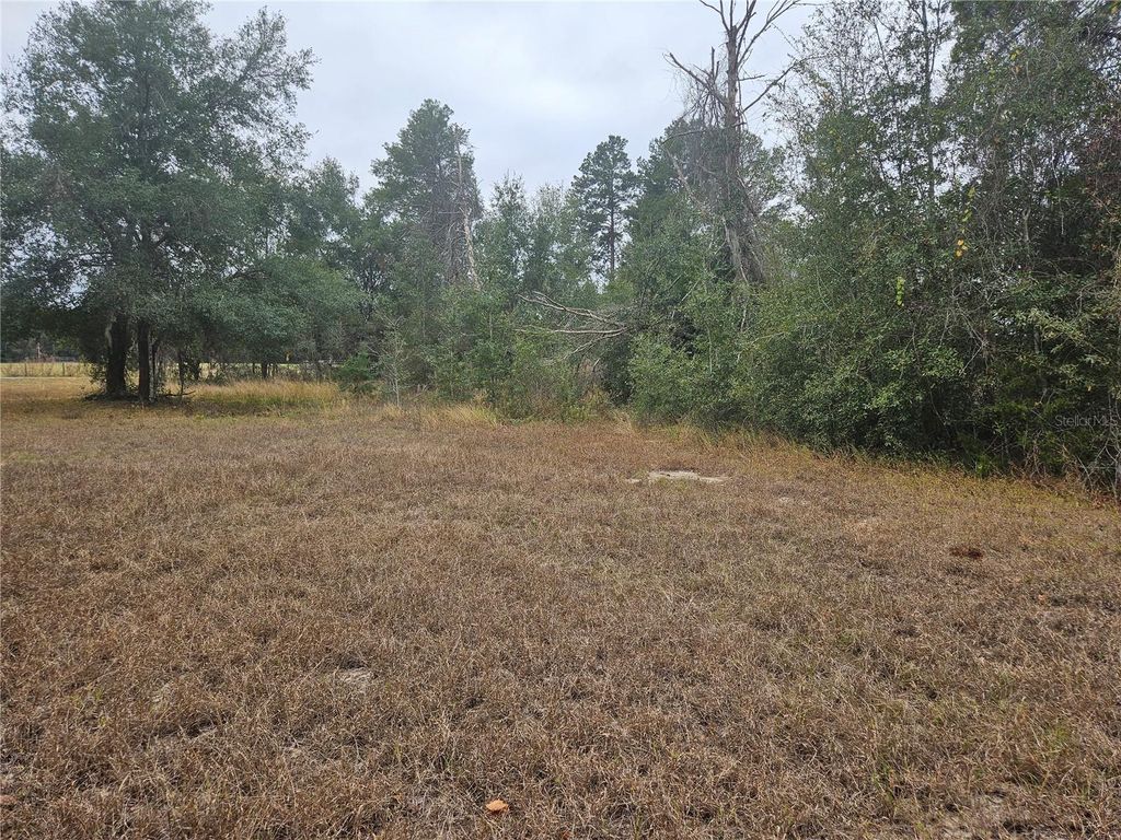 Image 3 of property listing at SE HIGHWAY 42, Weirsdale, FL 32195