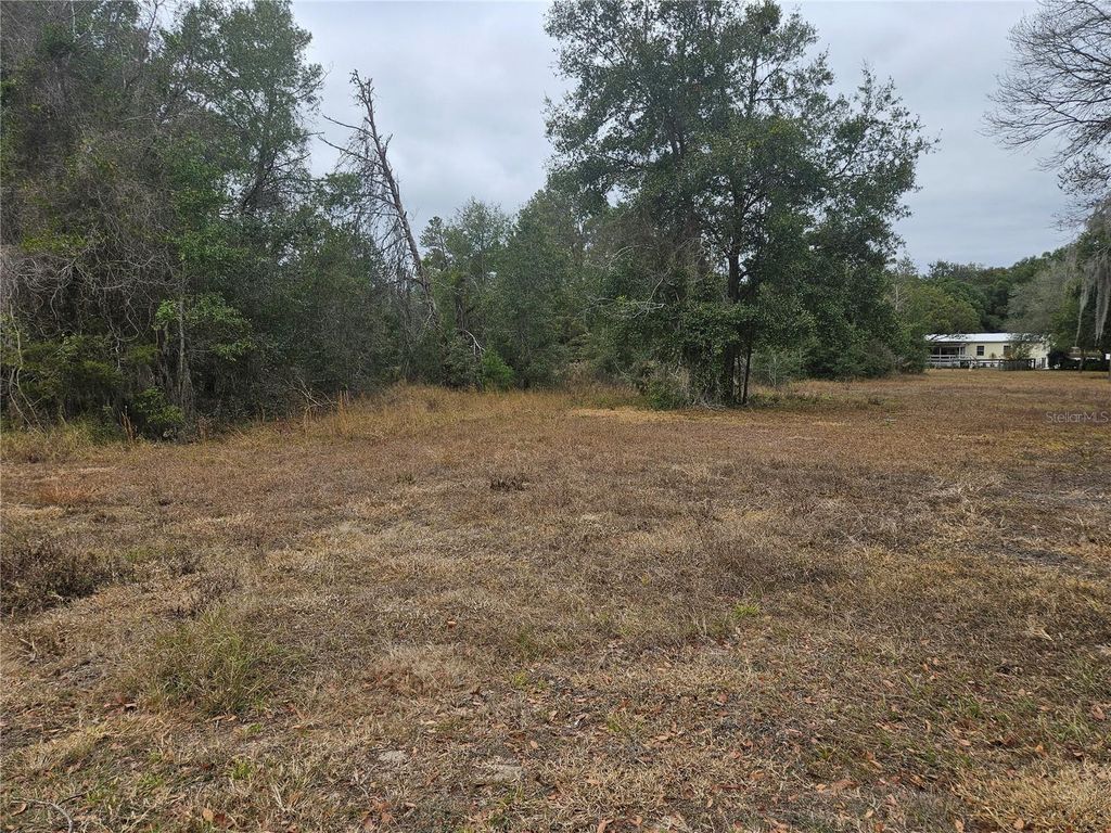 Image 4 of property listing at SE HIGHWAY 42, Weirsdale, FL 32195