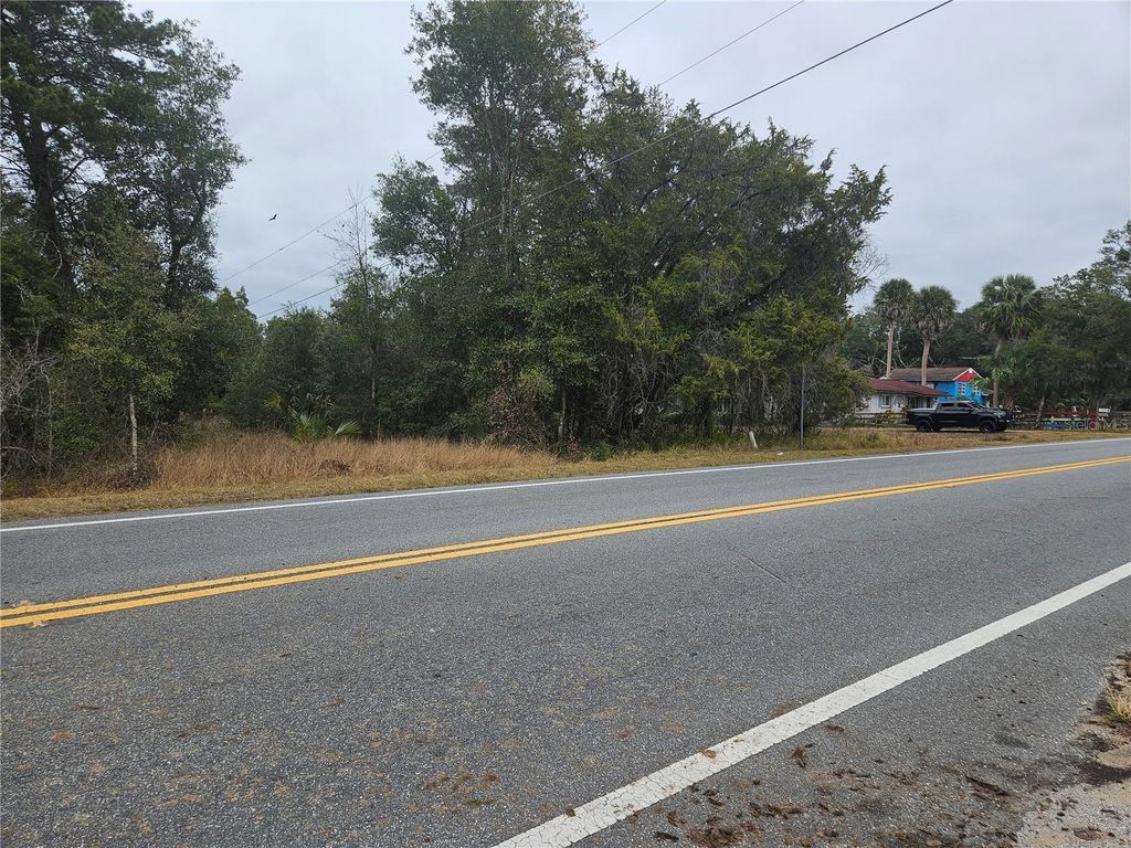 Image 5 of property listing at SE HIGHWAY 42, Weirsdale, FL 32195