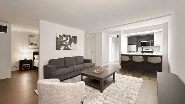 233 E Erie Street 1703, Chicago, IL 60611