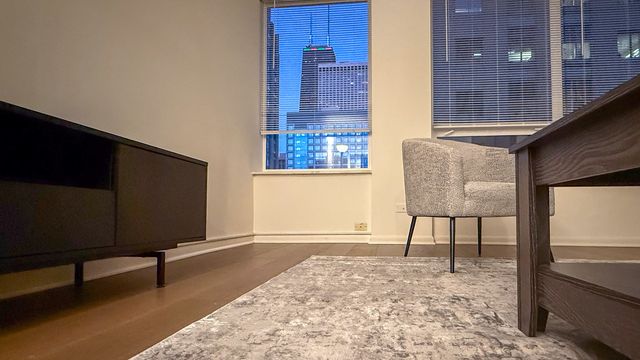 233 E Erie Street 1703, Chicago, IL 60611