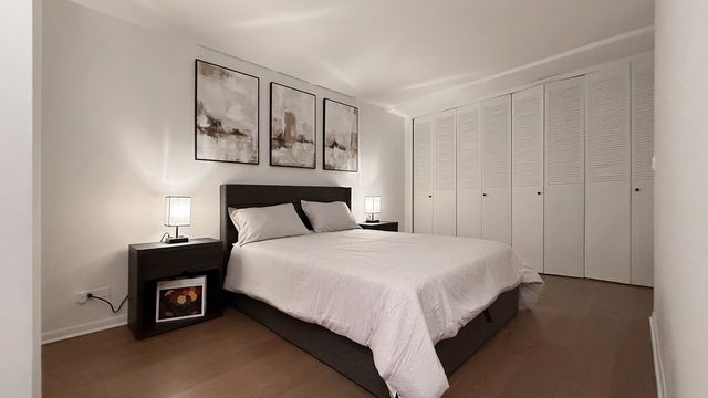 233 E Erie Street 1703, Chicago, IL 60611