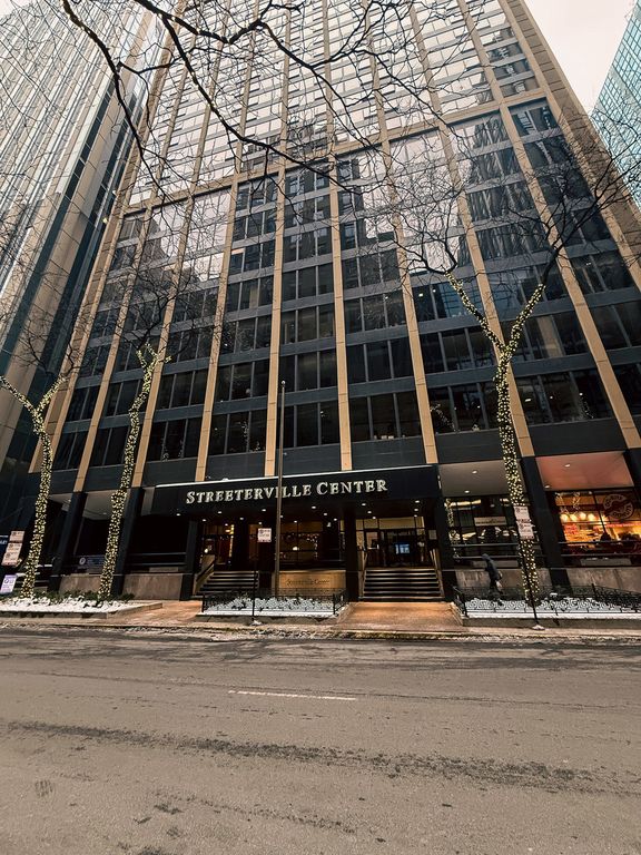 233 E Erie Street 1703, Chicago, IL 60611