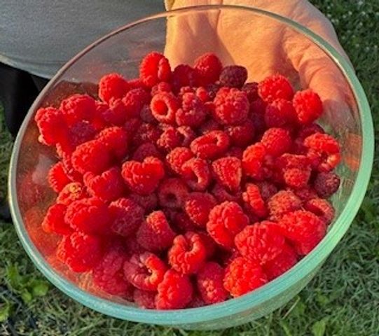 113 10th Street, Belgrade, MT 59714