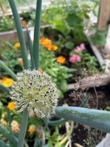 113 10th Street, Belgrade, MT 59714