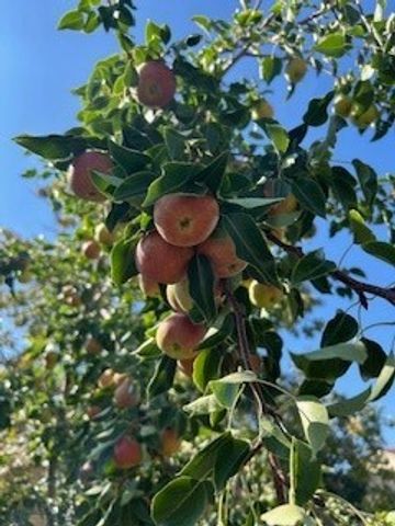 113 10th Street, Belgrade, MT 59714