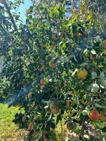 113 10th Street, Belgrade, MT 59714