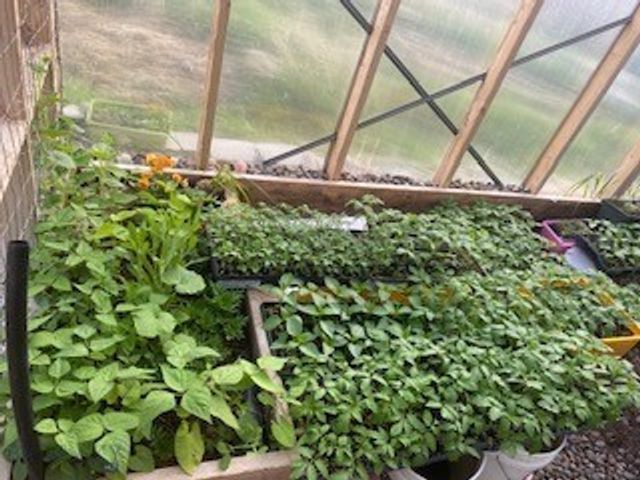 113 10th Street, Belgrade, MT 59714