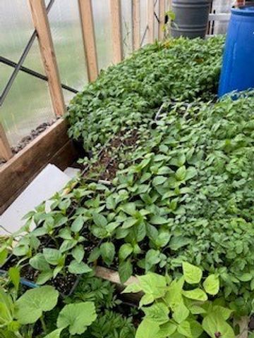 113 10th Street, Belgrade, MT 59714