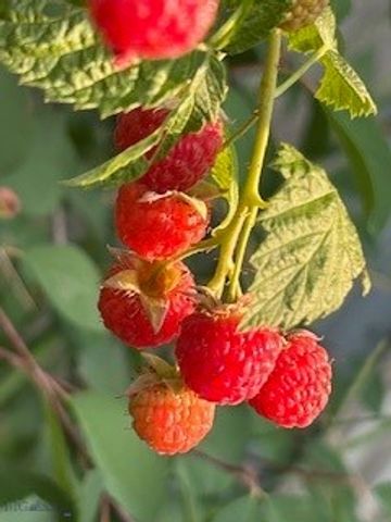 113 10th Street, Belgrade, MT 59714