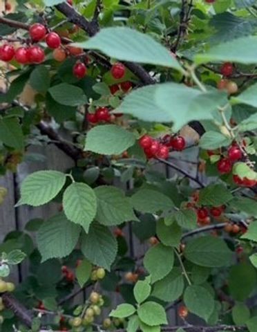 113 10th Street, Belgrade, MT 59714