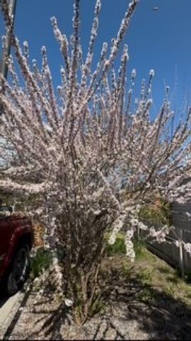 113 10th Street, Belgrade, MT 59714