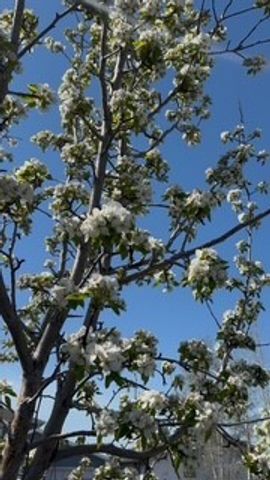 113 10th Street, Belgrade, MT 59714