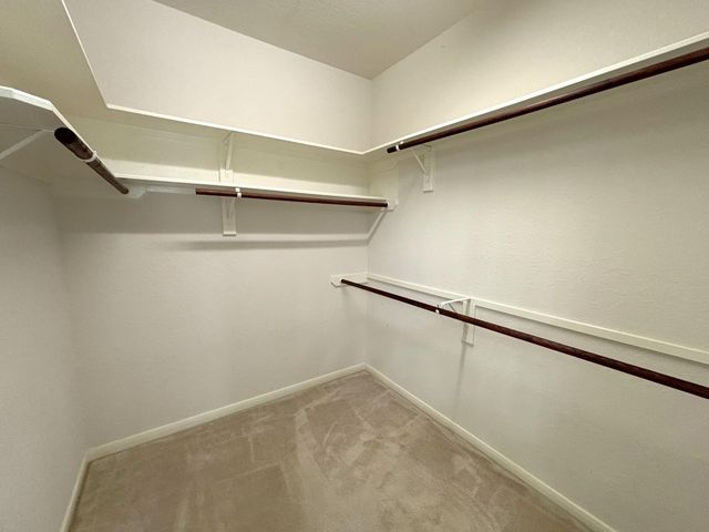 19538 Piney Lake Drive, Spring, TX 77388