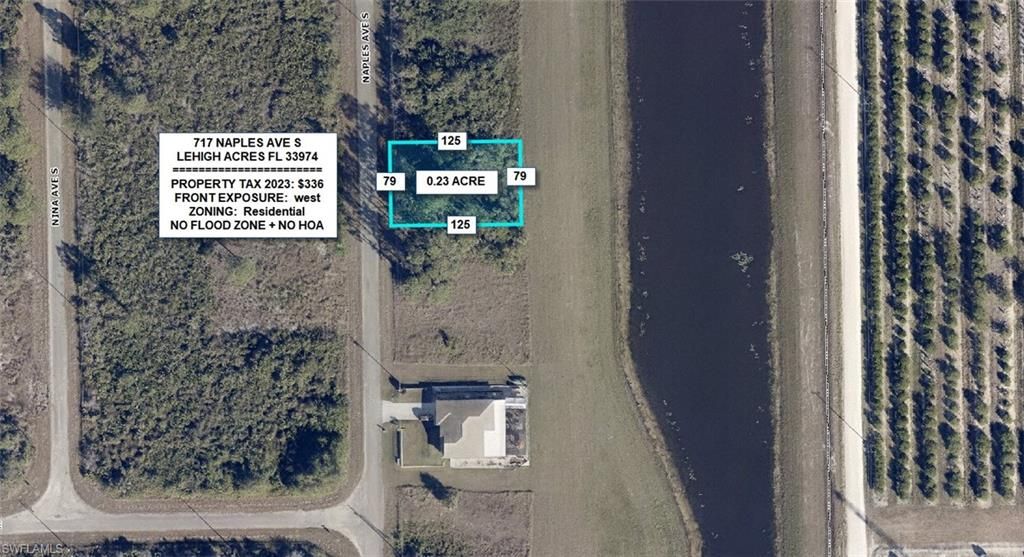 717 Naples AVE S, LEHIGH ACRES, FL 33974 — exterior
