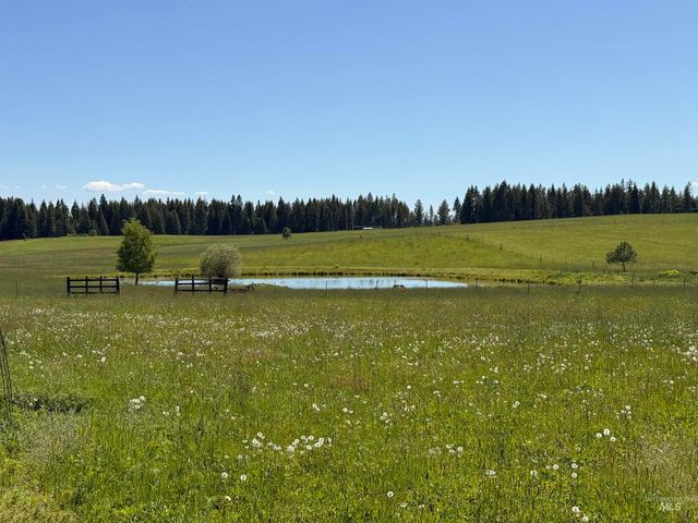 5656 Three Mile Road, Weippe, ID 83553