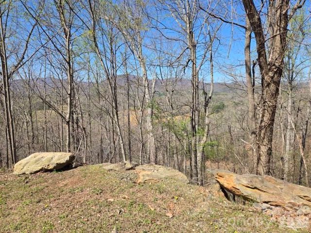 600 High Pines Loop, Lake Lure, NC 28746
