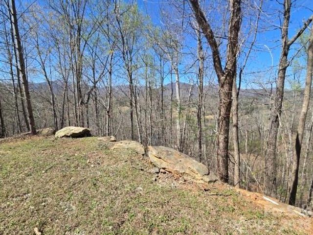 600 High Pines Loop, Lake Lure, NC 28746