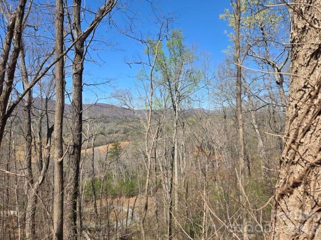 600 High Pines Loop, Lake Lure, NC 28746