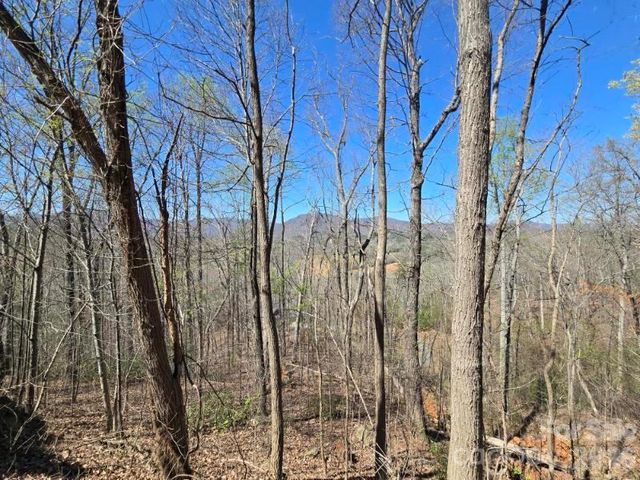600 High Pines Loop, Lake Lure, NC 28746