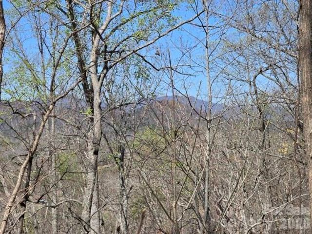600 High Pines Loop, Lake Lure, NC 28746