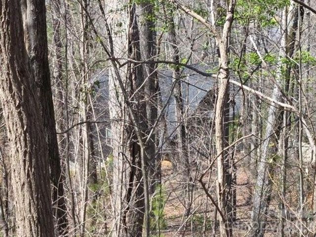 600 High Pines Loop, Lake Lure, NC 28746