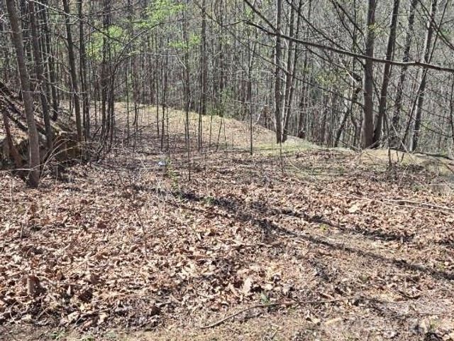 600 High Pines Loop, Lake Lure, NC 28746