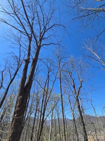 600 High Pines Loop, Lake Lure, NC 28746