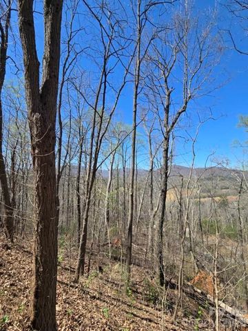 600 High Pines Loop, Lake Lure, NC 28746