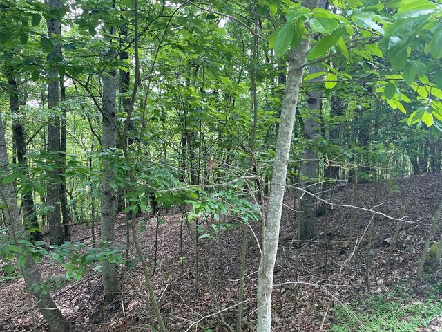 Lot 11 Brumby Run, Blairsville, GA 30512