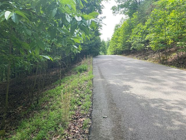 Lot 11 Brumby Run, Blairsville, GA 30512