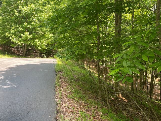 Lot 11 Brumby Run, Blairsville, GA 30512