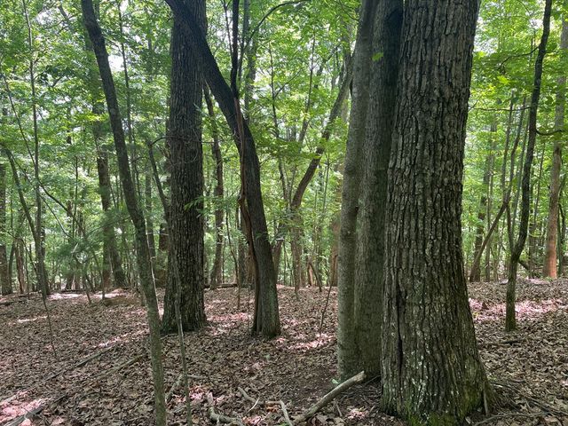 Lot 11 Brumby Run, Blairsville, GA 30512