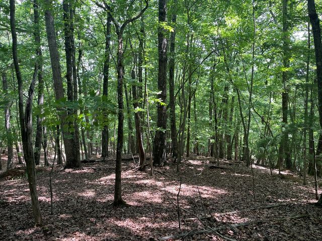 Lot 11 Brumby Run, Blairsville, GA 30512