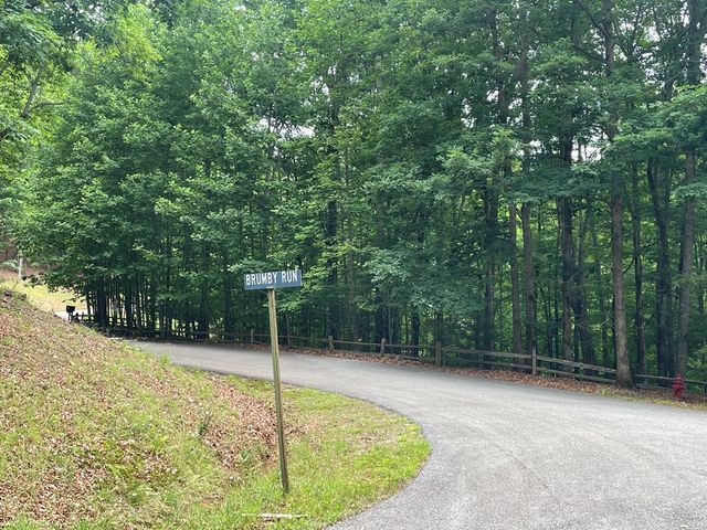 Lot 11 Brumby Run, Blairsville, GA 30512
