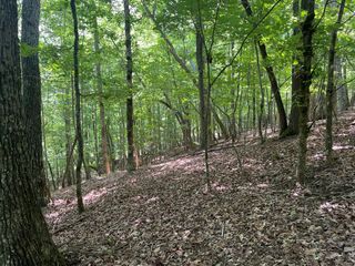 Lot 11 Brumby Run, Blairsville, GA 30512