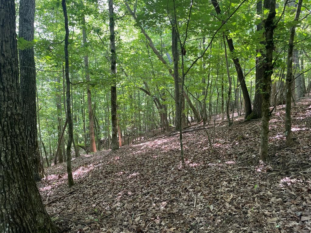 Lot 11 Brumby Run, Blairsville, GA 30512