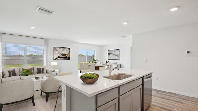 1208 ALPINE ASH PLACE, Ruskin, FL 33570