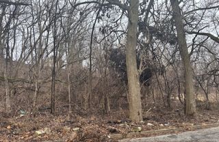 Lot 27, Block 1 Vacant N Fairview Avenue, Joliet, IL 60432