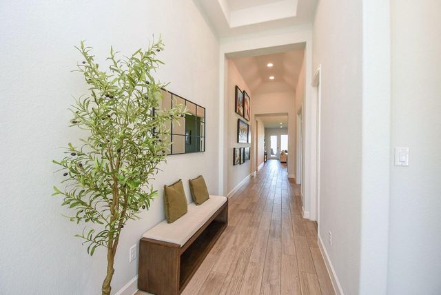 19006 Giara Pony Trail, Tomball, TX 77377