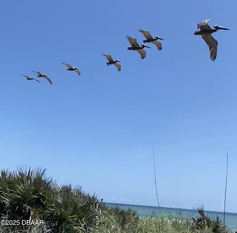 3000 Ocean Shore Blvd Apt 15, Ormond Beach, FL 32176