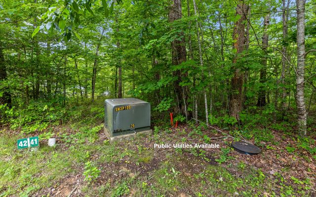 Lot 41 Quill Haven Drive, Signal Mountain, TN 37377