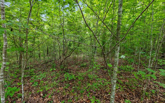 Lot 41 Quill Haven Drive, Signal Mountain, TN 37377