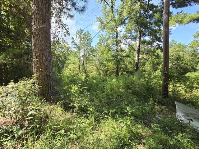 TBD Fm 980, Huntsville, TX 77320