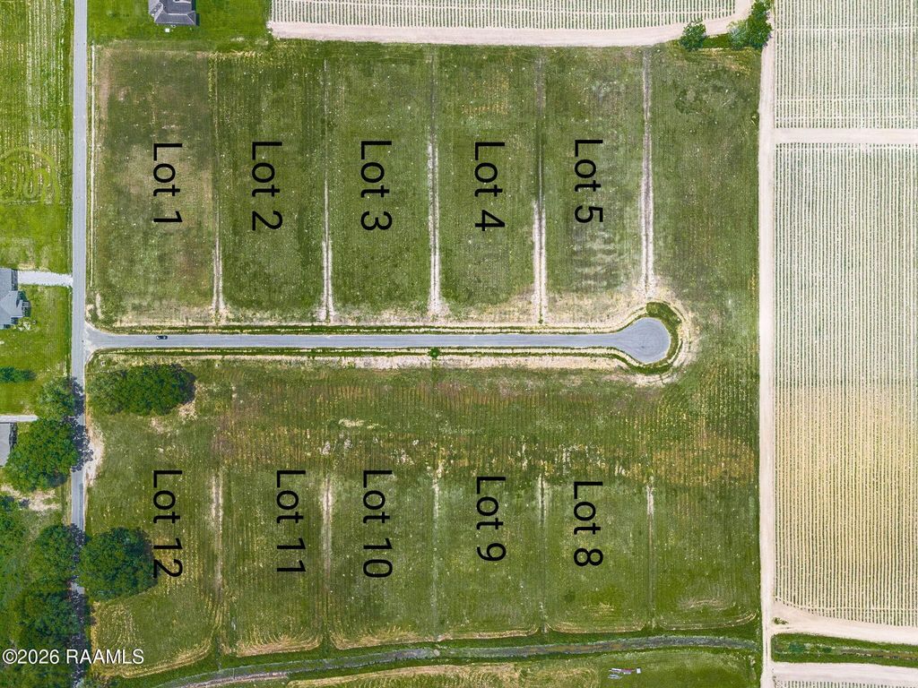 3903 Chemin Belle Terre, Maurice, LA 70555