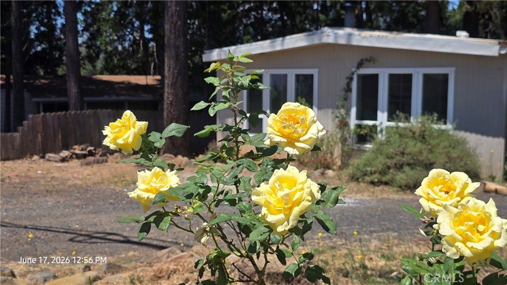 Image 2 of property listing at 6485 Ponderosa, Magalia, CA 95954