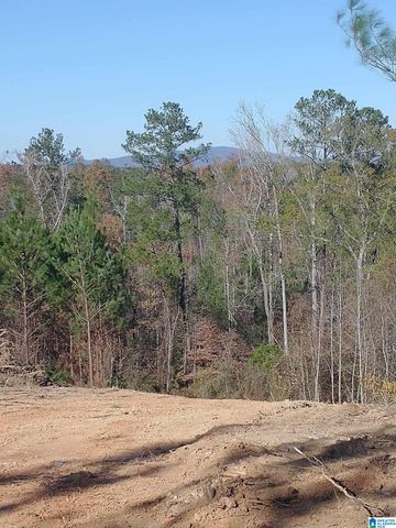 End of SERENITY LANE, Talladega, AL 35160