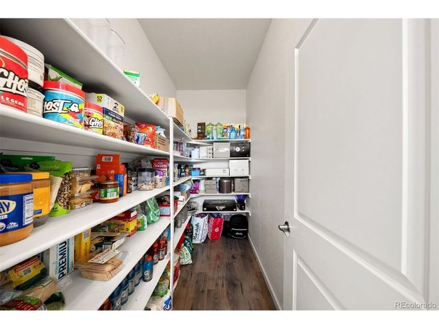 1730 Augustine Dr, Castle Rock, CO 80108