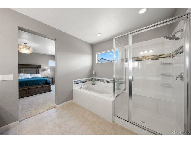 1730 Augustine Dr, Castle Rock, CO 80108